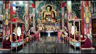 prayer at jirang (Buddhist monastry)