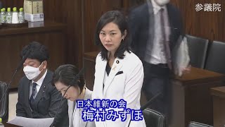 2023.04.13　法務委員会・質疑　梅村みずほ