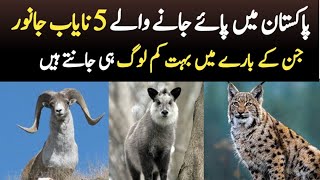 5 Beautiful Wild Animals in Pakistan People Don't Know About | Wildlife of Pakistan