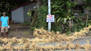 西表島干立村豊年祭2010