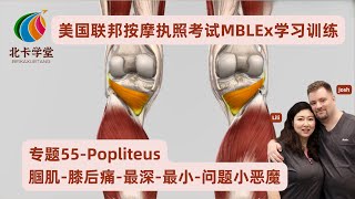 【联邦按摩考试】专题55-Popliteus腘肌-膝后痛-最深-最小-问题小恶魔【北卡学堂—MBLEx美国按摩治疗师执照考试学习训练】加拿大RMT注册按摩治疗师考试/MCQ/OSCE