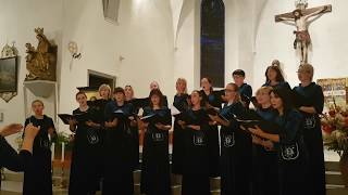 International Choir Festival Alta Pusteria. Choir Dangė - Ave Maria