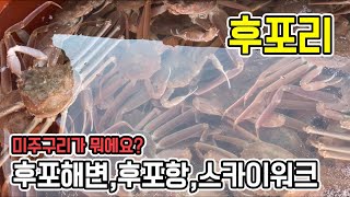 울진, 후포리 / 미주구리가 뭐예요?