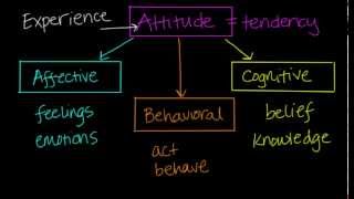 Components of Attitudes