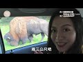 巴黎超狂動物園開箱！近距離接觸豺狼虎豹？《vs media》