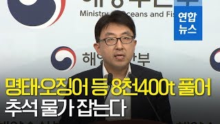 명태·오징어 등 8천400t 풀어 추석 물가 잡는다 / 연합뉴스 (Yonhapnews)