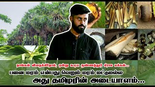 பனை மரம் என்பது வெறும் மரம் மட்டுமல்ல அது தமிழரின் அடையாளம் | பனை சதீஷ் | குண்ணத்தூர்