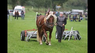 Leistungsprüfung unseres Wilfrodo \