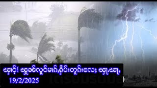 ၾၢင်ႉ! ၾူၼ်လူင်မၢၵ်ႇႁဵပ်းတူၵ်းလႄႈ ၾႃႉၽႃႇ    -    19/2/2025