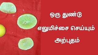 ஒரு துண்டு எலுமிச்சை செய்யும் அற்புதம் ...