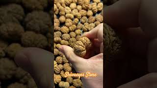 Rudraksha wholesale price 1 to 21 face 100% Original Govt  Approve Lab test certificate☎️8458852938