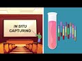 Introducing spatial biology