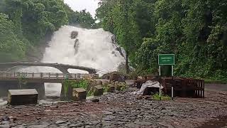 വാഴച്ചാൽ / ചാർപ്പ / നൂൽ വെള്ളച്ചാട്ടം, കാണാതേ പോയാൽ നഷ്ടം നിങ്ങൾക്ക്