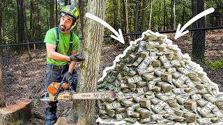 Considering Starting a Tree Service? Watch This First!