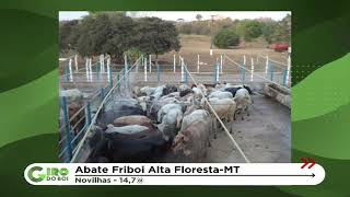 BOIADA DE MATO GROSSO