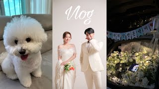 10월Vlog 아이폰14프로,수다,라따뚜이,사랑스러운강아지오래,프로포즈먼저하기,웨딩촬영ㅣ홈쿠킹ㅣ프로포즈ㅣ달빛스쿠터촬영