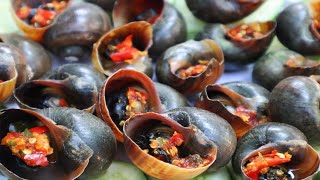 PHEN.PHEAKDEY 63: How to Cook Roast Snail ( Khyang Ang ) ខ្យងអាំងអំបិលម្ទេស.