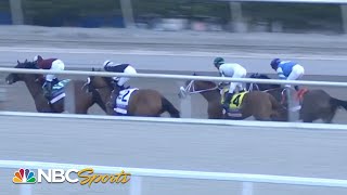 Fountain of Youth Stakes 2024 (FULL RACE) | NBC Sports