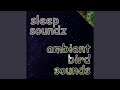 Bird Sounds for Tranquility