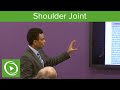 Muscles of the Shoulder Joint   – MRCS | Lecturio