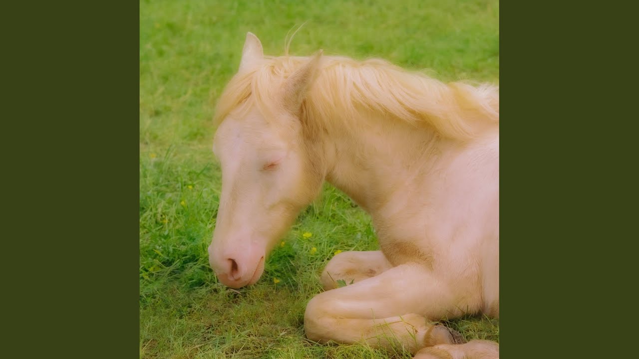 Midsommar Youtube Music