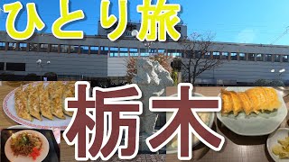 【栃木ひとり旅＃1】グルメ・観光【宇都宮駅・餃子】3/47