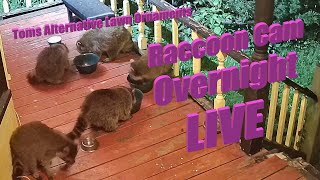 Raccoon Cam Overnight LIVE (07/27/21)