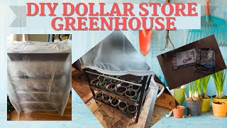 HOW TO BUILD A $10 DIY GREENHOUSE | DIY DOLLAR STORE GREENHOUSE | CHEAP \u0026 EASY DIY GREENHOUSE BUILD