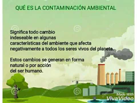 Causas Y Consecuencias De La Contaminación Ambiental - YouTube