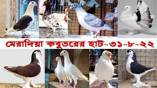 মেরাদিয়া কবুতরের হাট | মেরাদিয়া কবুতর হাট ২০২২ | Meradiya kobutor hat  2022 | Pet Market in bd