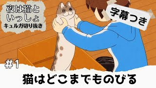 1.ネコのキュルガ【夜は猫といっしょ：キュルガ切り抜き（字幕付）】