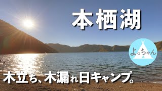 【本栖湖】穏やかな木漏れ日ふり注ぐ緑豊かなキャンプ【ソロキャンプ】