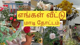 எங்கள் வீட்டு தோட்டம்||Beautiful Terrace Garden|| Maddi thotam||எங்கள் வீட்டு மாடி தோட்டம்