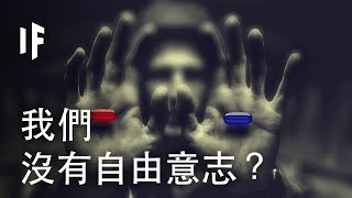 如果我們沒有自由意志？| 大膽科學