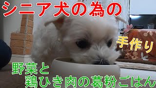 【シニア犬の為の手作りご飯】簡単に出来る！野菜と鶏ひき肉の葛粉ごはん