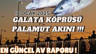 GALATA KÖPRÜSÜ PALAMUT AVI - GALATA KÖPRÜSÜ ÇİNEKOP AVI - GALATA KÖPRÜSÜ İSTAVRİT AVI - GECE AVI