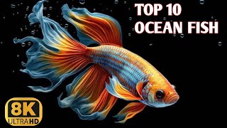 TOP 10. OCEAN FISH IN WORLD 🐠 || 8K Ultra NATURAL VIDEO 2024 #fish