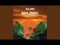 Inhliziyo (Extended Mix)