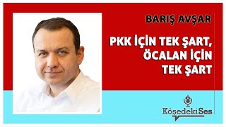 BARIŞ AVŞAR - \