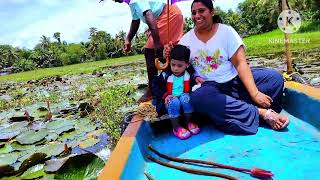 MALARIKKAL WATER LILLY,WATER TOURISM MALARIKKAL