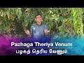 QUARANTINE FROM REALITY | PAZHAGA THERIYA VENUM | MISSIAMMA | Episode 591