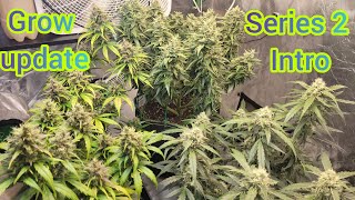 The Friendly Grower - Grow update and new series introduction