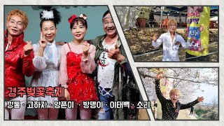 태백총각Tv이태백#경주벚꽃축제2부