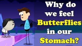 Why do we feel Butterflies in our Stomach? + more videos | #aumsum #kids #education #children