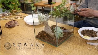 《メイキング動画》透明ガラスのテラリウム | 癒しの植物