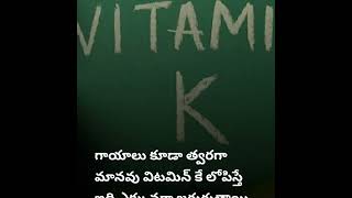 విటమిన్ కె ఉన్న అప్పుడూ కనిపిచెయ్ లక్షణాలు ఇవిThese are  symptoms  occur when vitamin K  present||