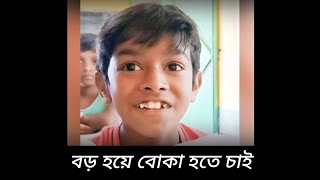 যে কথার গভীর অর্থ, আমি বোকা হলে তো কাউকে ঠকাবো না || al mamun vlogs