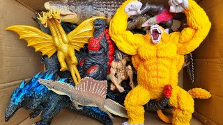 Godzilla vs Kong Toy/Godzilla Action Figure/Unboxing Godzilla Toy/Godzilla Toys Movie