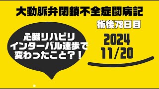 ★大動脈弁閉鎖不全症闘病記2024001120 20241120 心臓リハビリインターバル速歩2ヶ月で変わったこと 0318