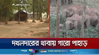 দখলদারদের থাবায় আবাসস্থল হারিয়ে লোকালয়ে বন্য হাতির দল | Sherpur Border Elephant | Jamuna TV